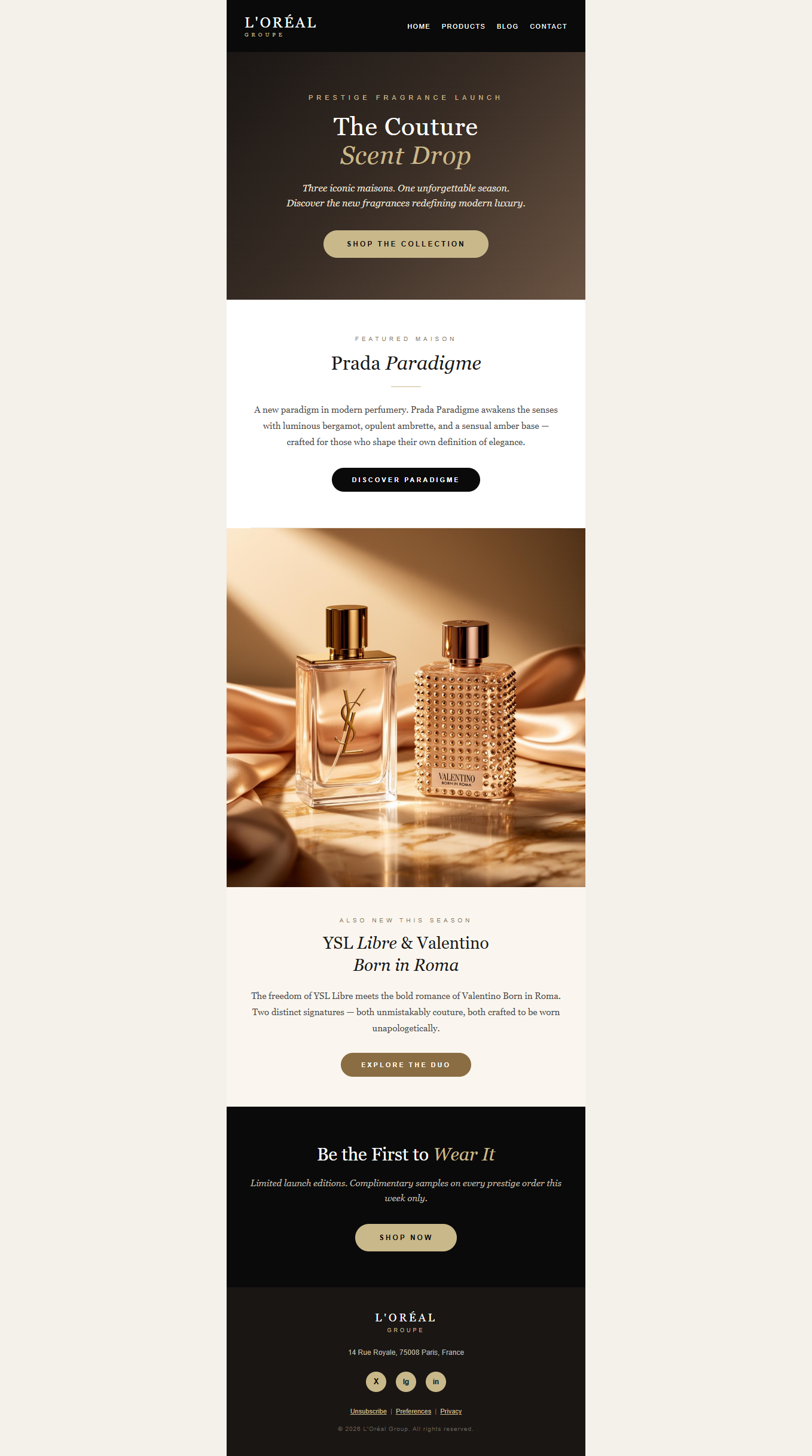 Luxury email newsletter design sample
