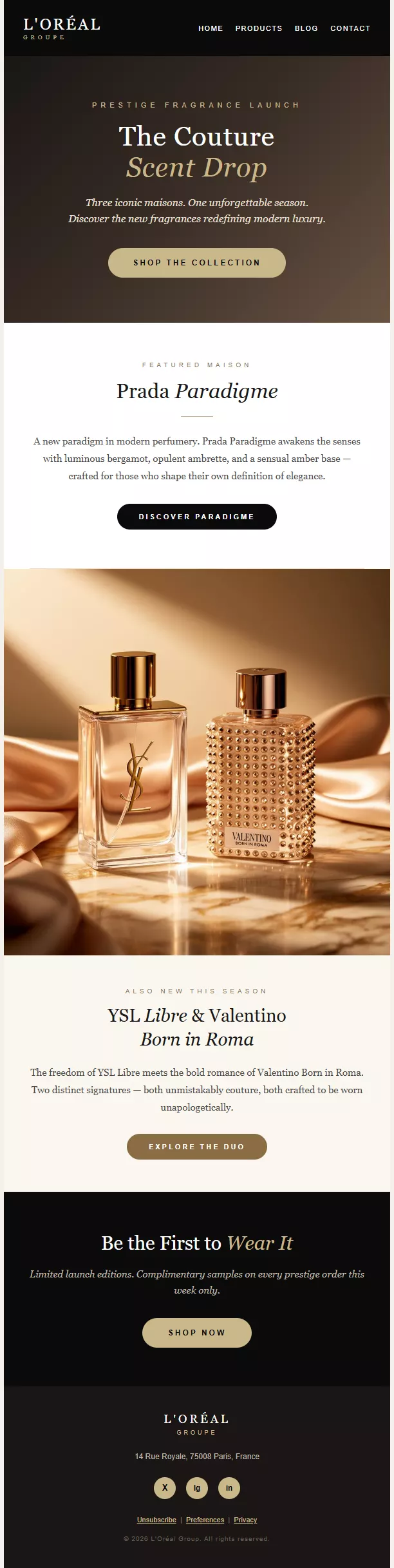 L’Oréal newsletter template preview